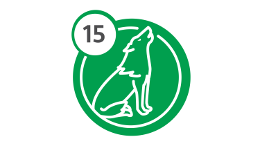 Bus Route 15 - Wolf