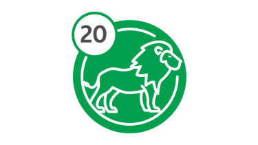 Bus Route 20 - Lion