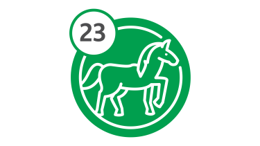 Bus Route 23 - Horse