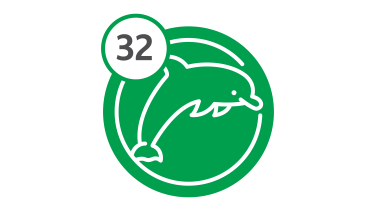 Bus Route 32 - Dolphin