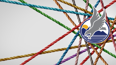 Criss-crossing coloured rope with eagle graphic at the centre