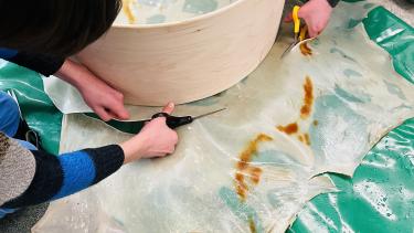 students working with rawhide and a drum frame to build a drum
